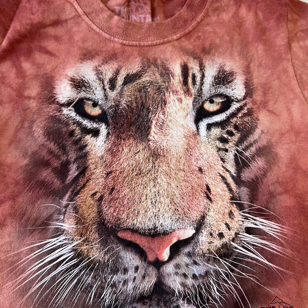 Bundle of 2 100% cotton size S boy Tees - Picture 5 of 8